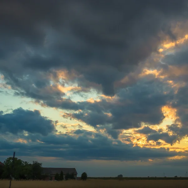 Immagine dalla serie natura — Foto Stock