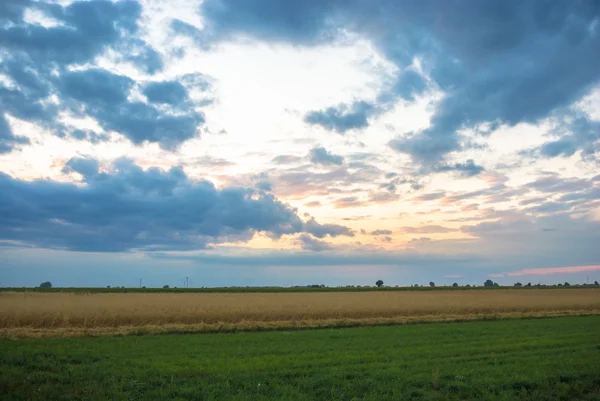 Immagine dalla serie natura — Foto Stock