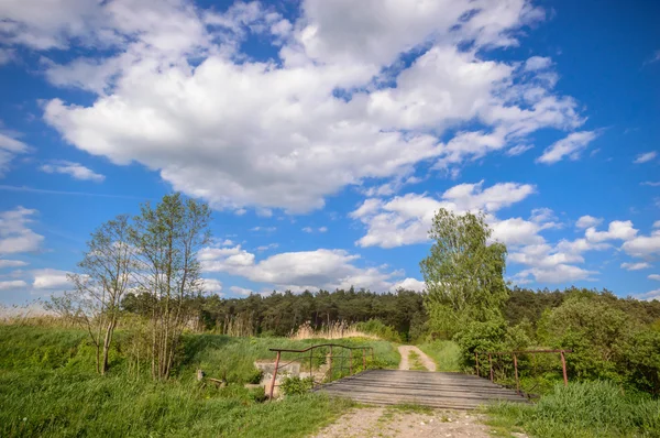 Immagine dalla serie natura — Foto Stock