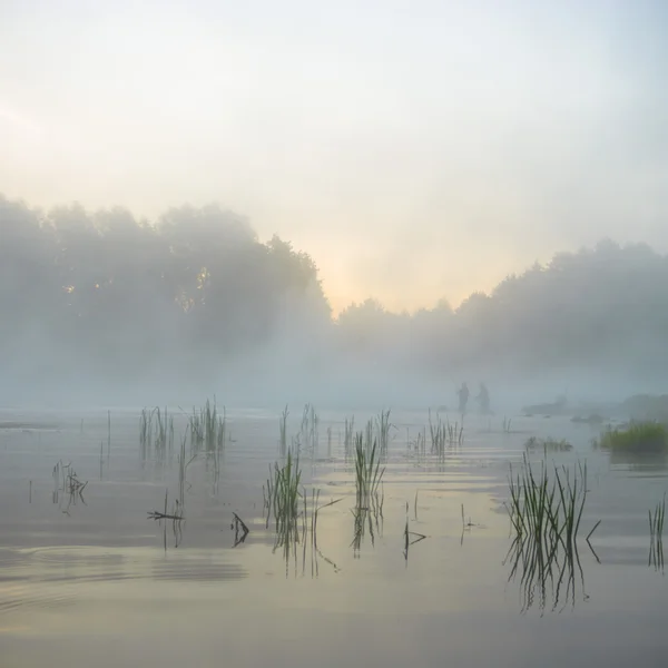 Beeld uit natuur-serie — Stockfoto