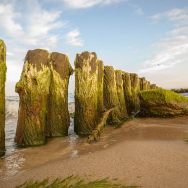 görüntü doğa serisi