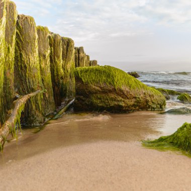 görüntü doğa serisi
