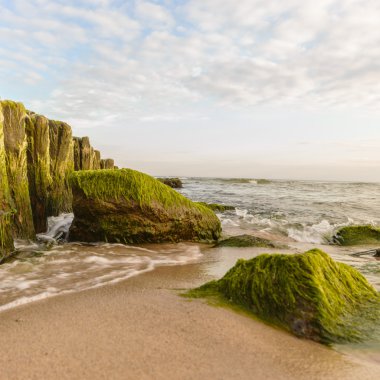 görüntü doğa serisi