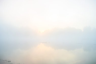 görüntü doğa serisi