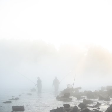 görüntü doğa serisi