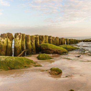 görüntü doğa serisi