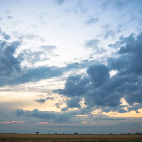 Obraz z serii natura — Zdjęcie stockowe