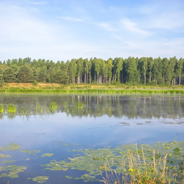 Obraz z serii natura — Zdjęcie stockowe