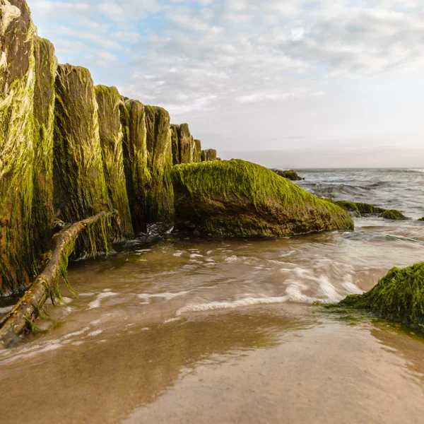 görüntü doğa serisi
