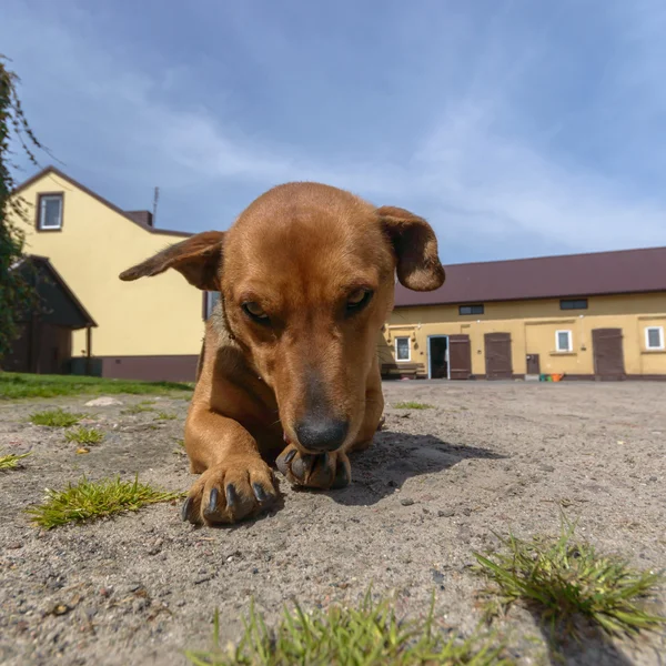 Bild från naturen-serien — Stockfoto