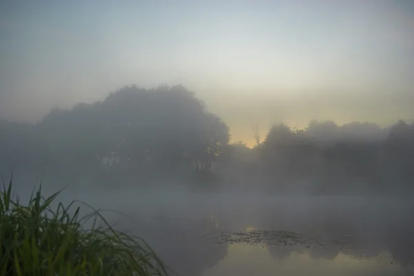 Imagem da série natureza — Fotografia de Stock