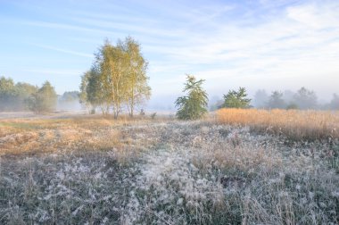 görüntü doğa serisi