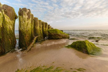 görüntü doğa serisi