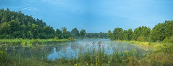 Beeld uit natuur-serie — Stockfoto