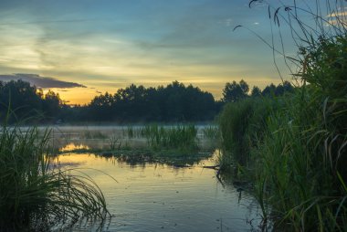 görüntü doğa serisi