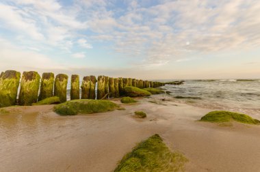 görüntü doğa serisi