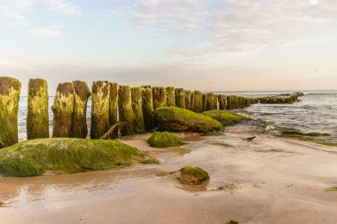 görüntü doğa serisi