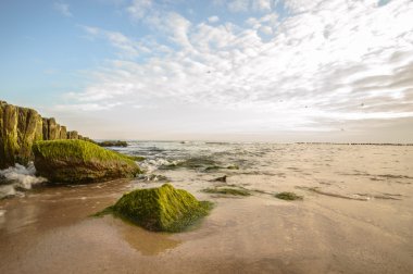 görüntü doğa serisi