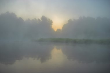 görüntü doğa serisi