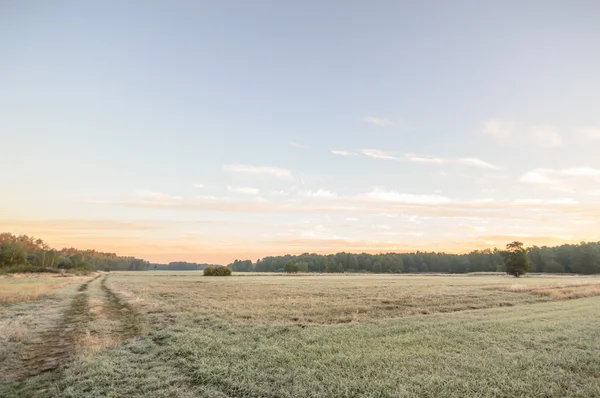 Immagine dalla serie natura — Foto Stock