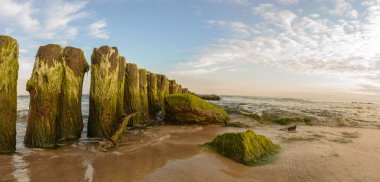görüntü doğa serisi