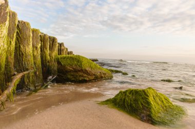 görüntü doğa serisi