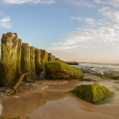 görüntü doğa serisi