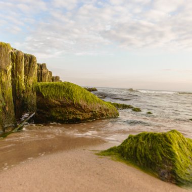 görüntü doğa serisi