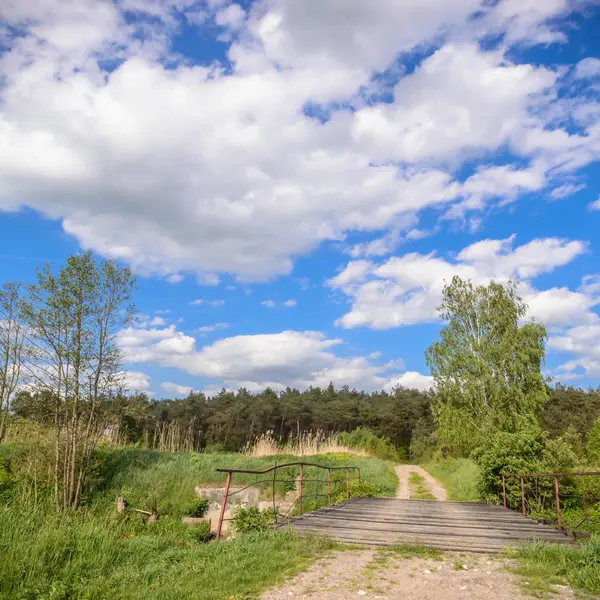 Immagine dalla serie natura — Foto Stock