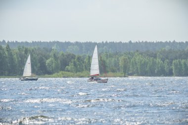 görüntü doğa serisi