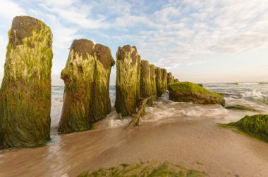 görüntü doğa serisi