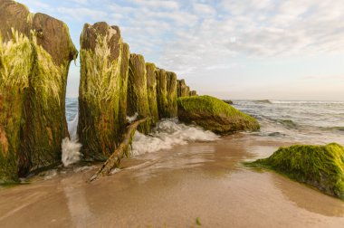 görüntü doğa serisi