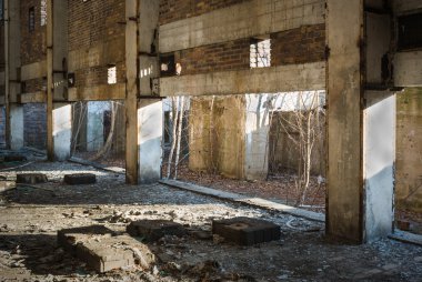 görüntü endüstriyel serisi