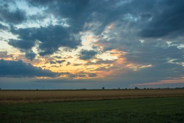 görüntü doğa serisi