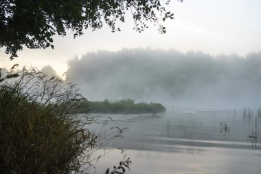 görüntü doğa serisi