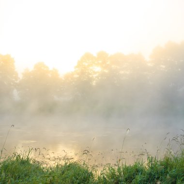 görüntü doğa serisi