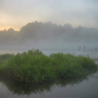 görüntü doğa serisi