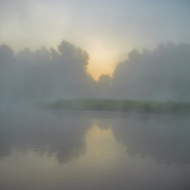 görüntü doğa serisi