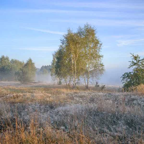 Image from nature series — Stock Photo, Image