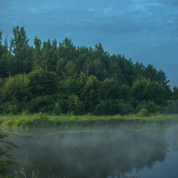 Bild från naturen-serien — Stockfoto