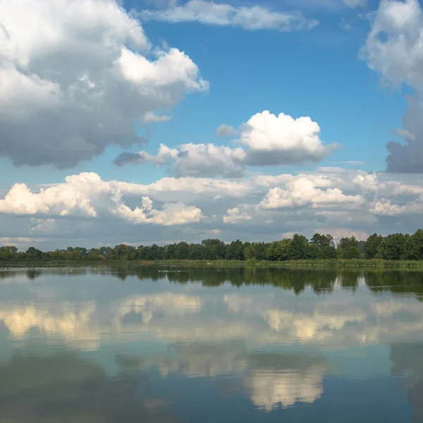 Imagen de la serie naturaleza — Foto de Stock