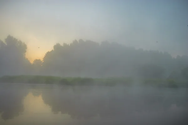 Imagem da série natureza — Fotografia de Stock