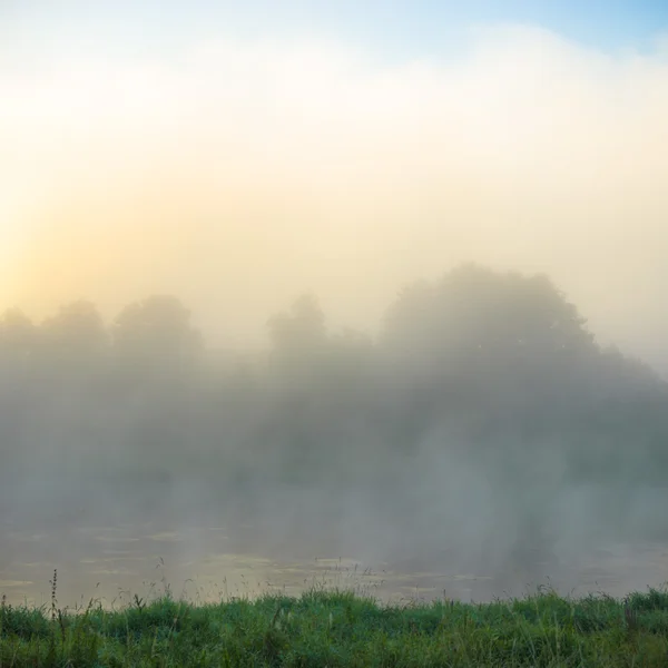 Immagine dalla serie natura — Foto Stock