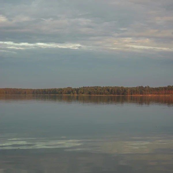 Image de la série nature — Photo