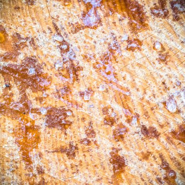 görüntü doğa serisi