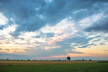 görüntü doğa serisi