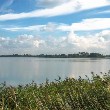 görüntü doğa serisi