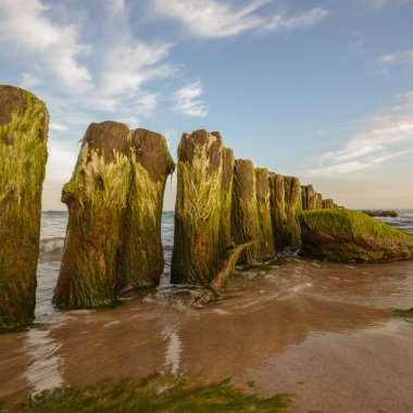 görüntü doğa serisi
