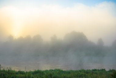 görüntü doğa serisi
