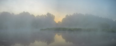 görüntü doğa serisi